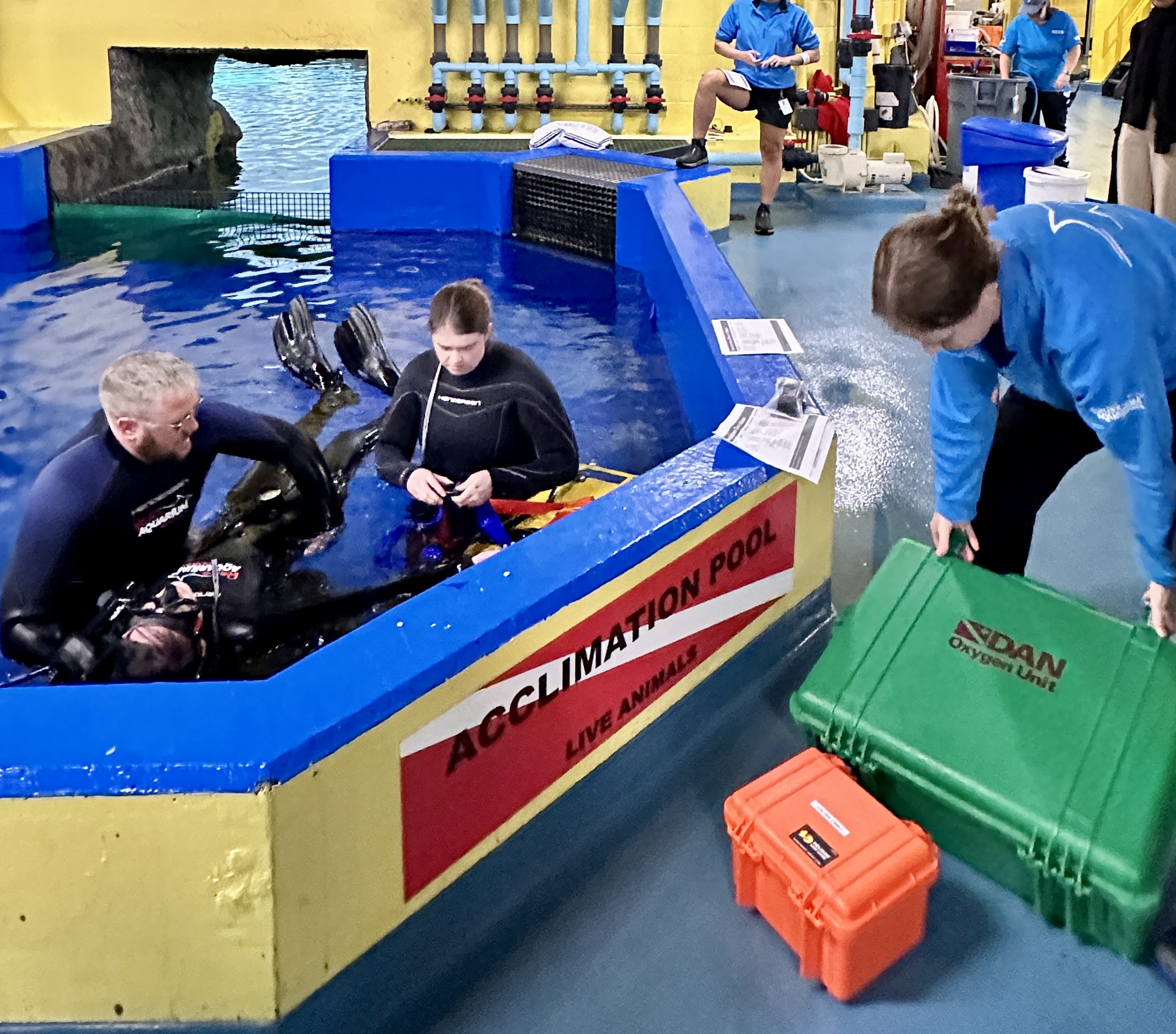 Occupational Diving Operations